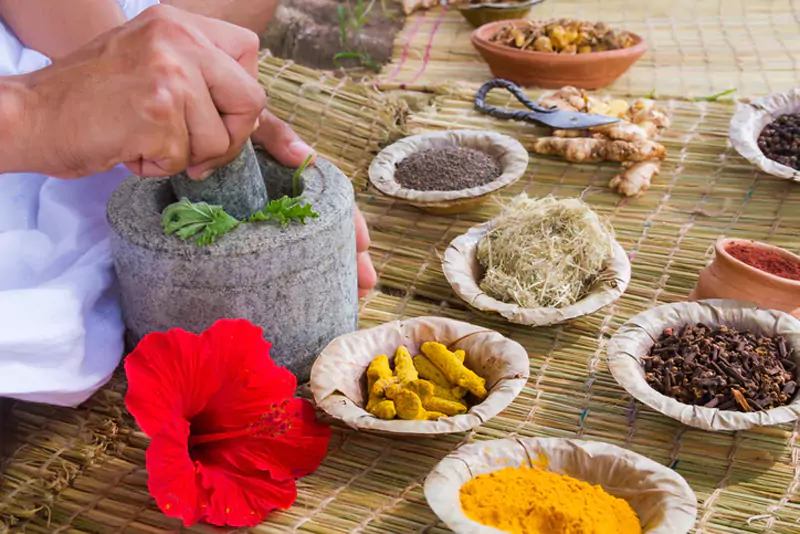 Diabetes Treatment in Ayurveda at Ayur Harsha in Kothapet, Hyderabad
