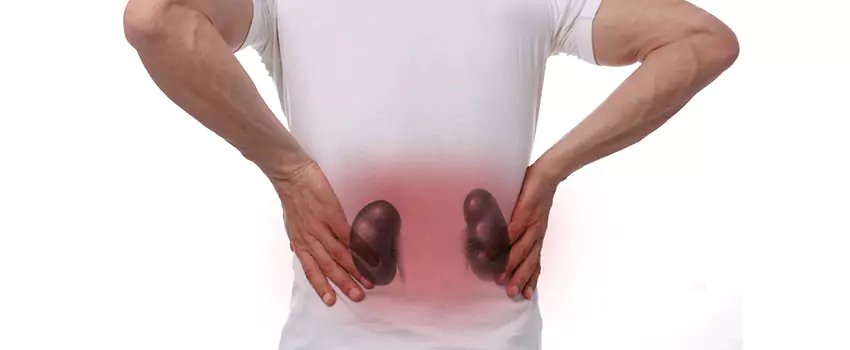 Ayurvedic Treatment for Kidney Failure at Ayur Harsha Kothapet, Hyderabad