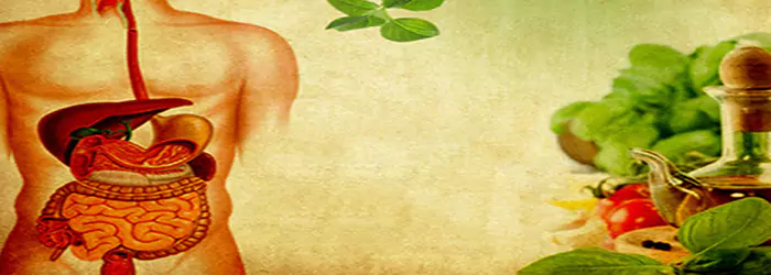 Virechana Treatment in Ayurveda at Ayur Harsha - Best Ayurvedic Treatment Hospital