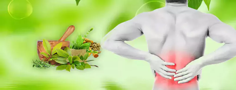 Back Pain Treatment in Ayurveda | Ayur Harsha - Kothapet, Hyderabad