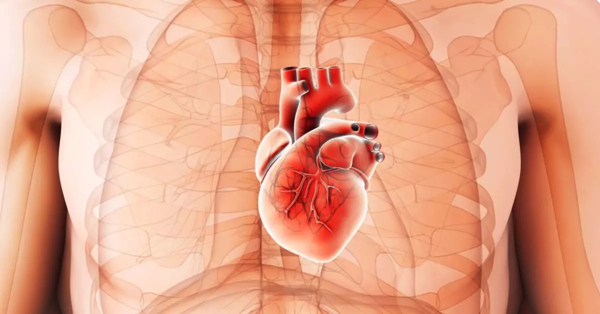 Preventive Cardiac Care in Ayurveda at Ayur Harsha - Best Ayurvedic Treatment Hospital