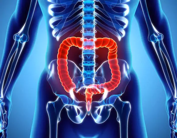 Anorectal Treatment in Ayurveda at Ayur Harsha in Kothapet