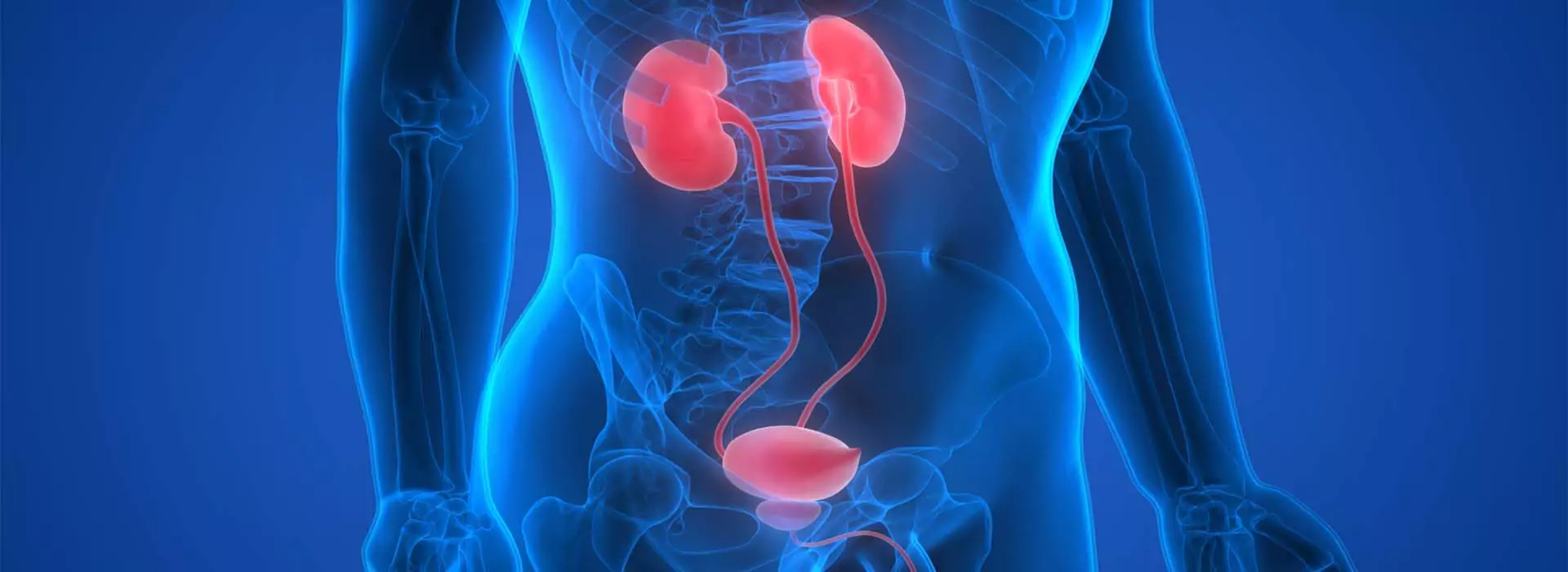 Urinary Tract Infection Treatment in Ayurveda - Ayur Harsha Kothapet, Hyderabad